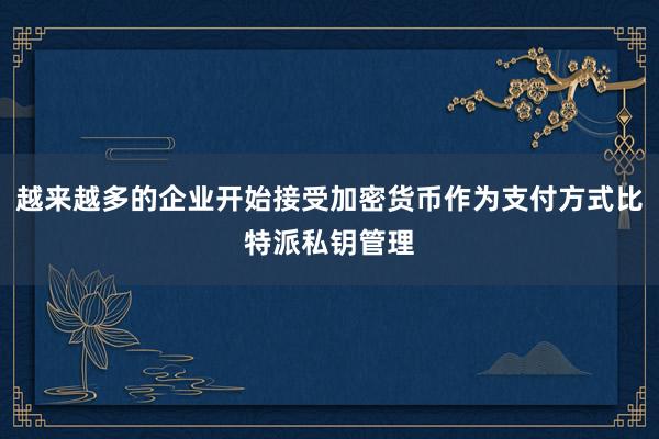 越来越多的企业开始接受加密货币作为支付方式比特派私钥管理