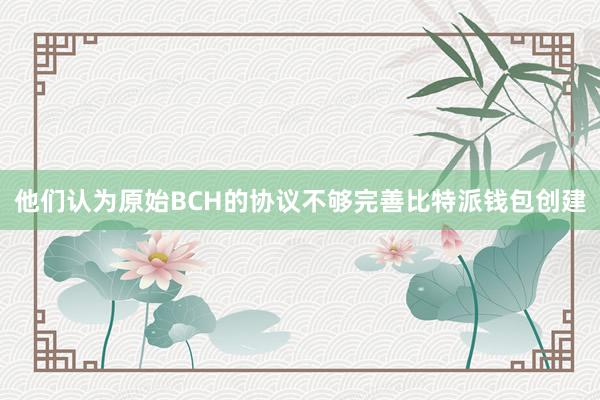 他们认为原始BCH的协议不够完善比特派钱包创建