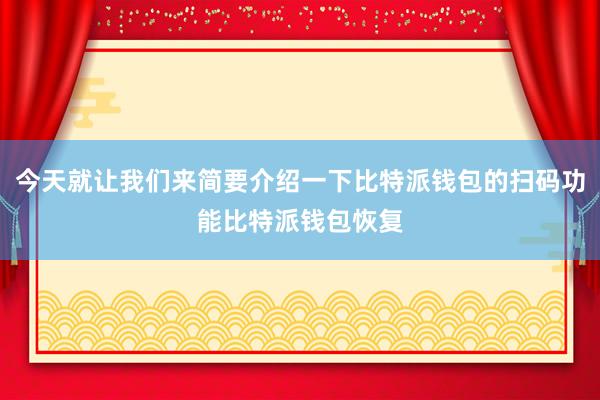 今天就让我们来简要介绍一下比特派钱包的扫码功能比特派钱包恢复