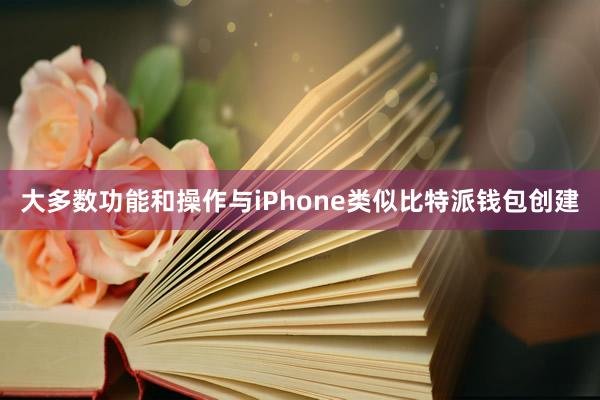 大多数功能和操作与iPhone类似比特派钱包创建