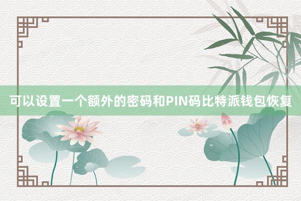 可以设置一个额外的密码和PIN码比特派钱包恢复