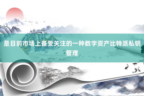 是目前市场上备受关注的一种数字资产比特派私钥管理