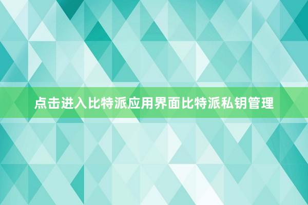 点击进入比特派应用界面比特派私钥管理