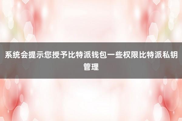 系统会提示您授予比特派钱包一些权限比特派私钥管理