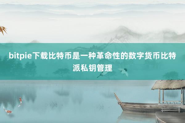 bitpie下载比特币是一种革命性的数字货币比特派私钥管理