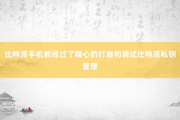 比特派手机都经过了精心的打磨和调试比特派私钥管理