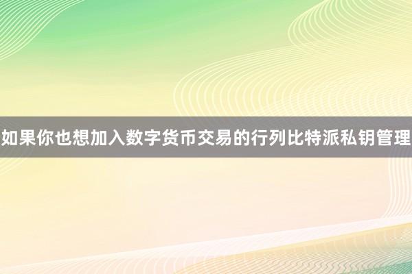 如果你也想加入数字货币交易的行列比特派私钥管理