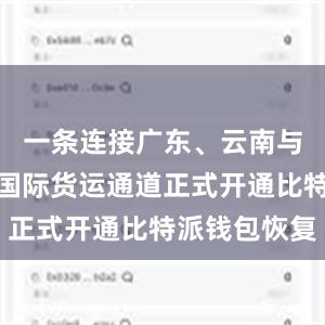 一条连接广东、云南与东南亚的国际货运通道正式开通比特派钱包恢复