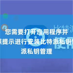 您需要打开应用程序并按照提示进行安装比特派私钥管理