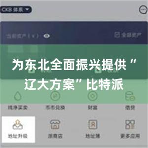 为东北全面振兴提供“辽大方案”比特派